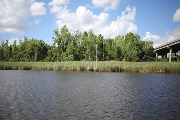 Wilmington North Carolina Waterscape Landscape 