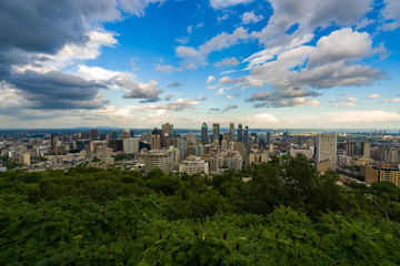 Fototapeta na wymiar Montreal from Mont Royal