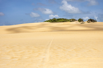 Sand, sand and more sand, dunes Natal Brazil