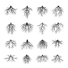 Set of Black Roots. Vector Illustration.