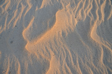 The sand on the Zambezi river. Zimbabwe.