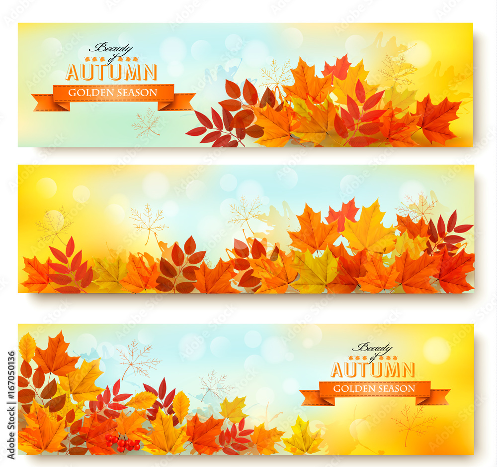 Poster set of three nature banners with colorful autumn leaves. vector