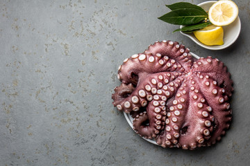 Seafood octopus. Whole fresh raw octopus with lemon and laurel, gray slate background, top view