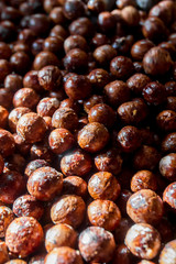 macadamia nuts, nuts orchid, macadamian nuts farm, harvest time