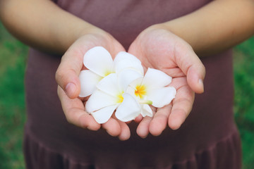 lady hands holding white flowers and praying