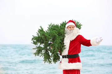 Authentic Santa Claus with Christmas tree on sea background