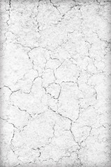 Soil cracks texture white background for design.