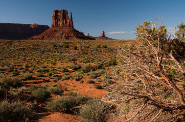 West Mitten Butte in Monument Valley