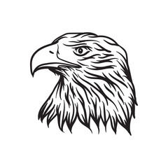 Fototapeta premium eagle head vector illustration