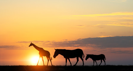 Naklejka na ściany i meble Safari sunset landscape