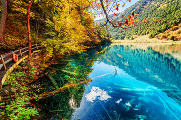 Fantastic view of lake with azure water among fall woods