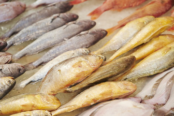 fresh fish in the market