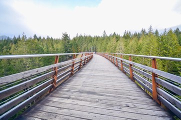 Fototapeta premium Path Through the Kinsol Trestle or Koksilah River Trestle in the Cowichan Valley 