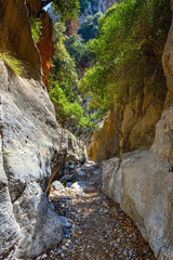 Kritsa Gorge near Agios Nikolaos on Crete, Greece