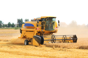 Obraz premium corn harvester