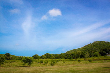 Fototapeta premium sea