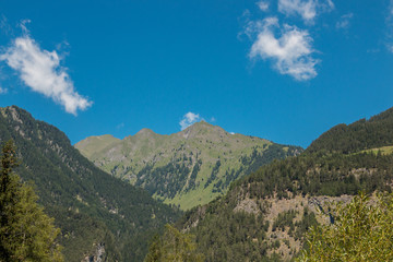 Gebirge und Wald