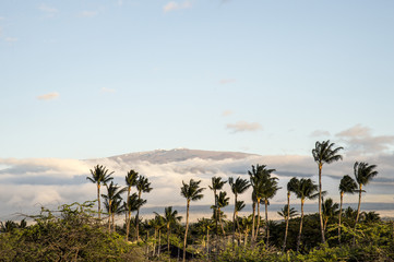 Mauna Kea seen from Mauna Lani,Hawaii Island