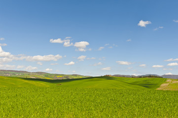 Fields, pastures and farmhouse