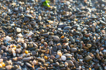 Natural colorful stone on the beach