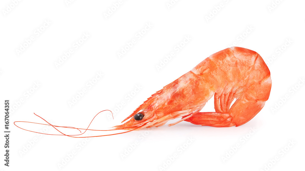 Wall mural Cooked shrimp isolated on white background.