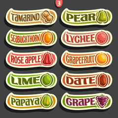 Vector Set of colorful Fruits and Berries Labels: collection of exsotic fruit logo with lettering title text isolated on black, set of cartoon simple labels for juice or candy, abstract fruits stikers