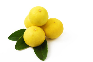 Fresh lemon against cancer on white background.