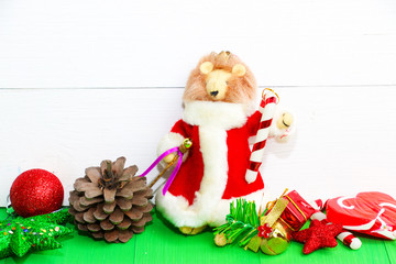 Santa claus with pine cone