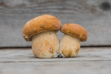 Mushroom boletus cut on a wooden board background