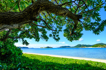 Naklejka premium 座間味の阿真ビーチ