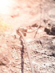 Close-up view of bolt via ferrata cable fastening. Outdoor rock climbing equipment.