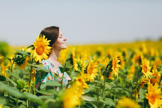 Brunette Girl In A Field Of Sunflowers