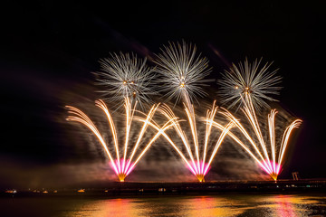 Brightly Colorful Fireworks at night