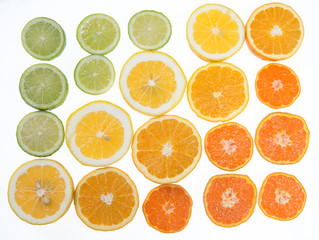 Citrus fruit arranged in a tonal color gradient on white background