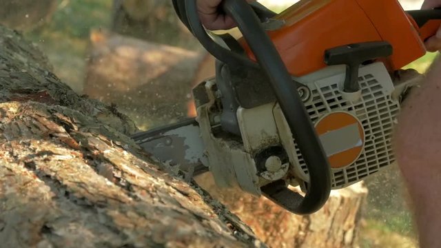 Sawing through log