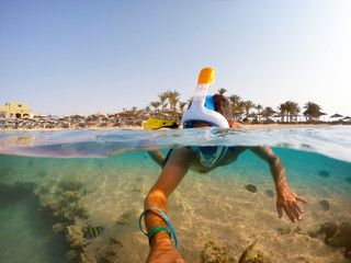 Snorkel swim in shallow water with coral fish, Red Sea, Egypt