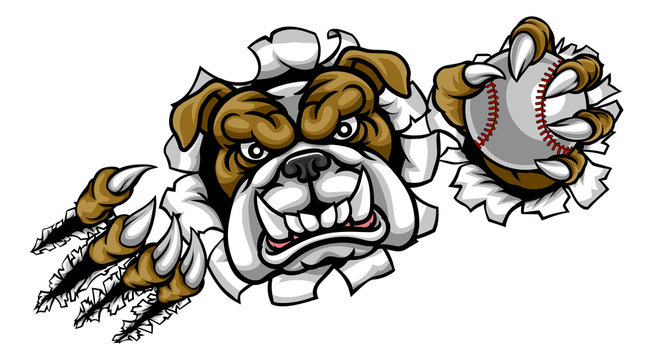 Bulldog Baseball Sports Mascot