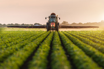 Tractor spraying soybean field at spring - obrazy, fototapety, plakaty