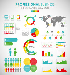 Professional Business Infographic Elements