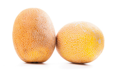 Whole honeydew melon tropical fruit isolated on a white background.