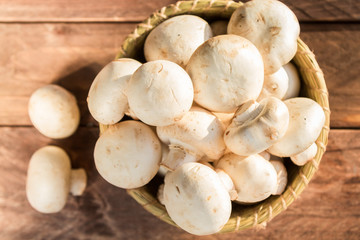 Mushrooms champignons in a basket