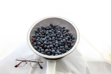 ブルーベリーとメガネ