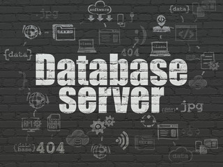 Software concept: Database Server on wall background