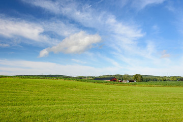 Fototapeta na wymiar Idyllic farm field landscape