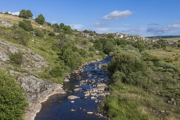 Fototapeta na wymiar rivière du Bès plateau de l'Aubrac