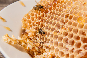 Close up view of the working bee on the honeycomb with sweet honey. Sweet honey in the white plate on wooden background.