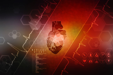 2d Anatomy of Human Heart 