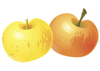Two yellow apples isolated on white background. Vector Illustration