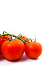 Bunch of red tomatoes on white background