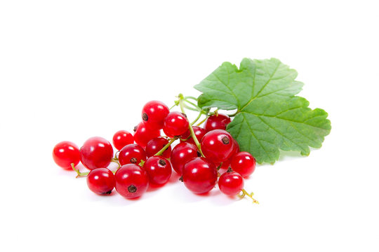 Red currant berry isolated on white. A bunch of red currant..